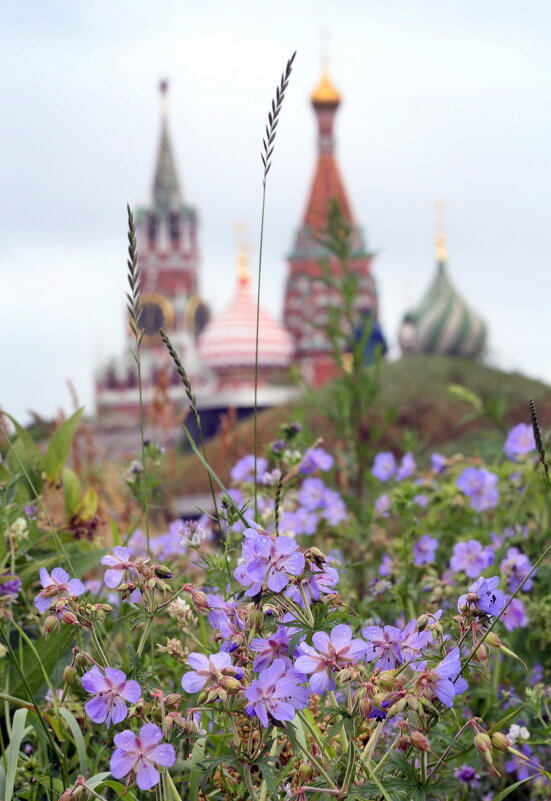 Зарядье - Михаил Бибичков