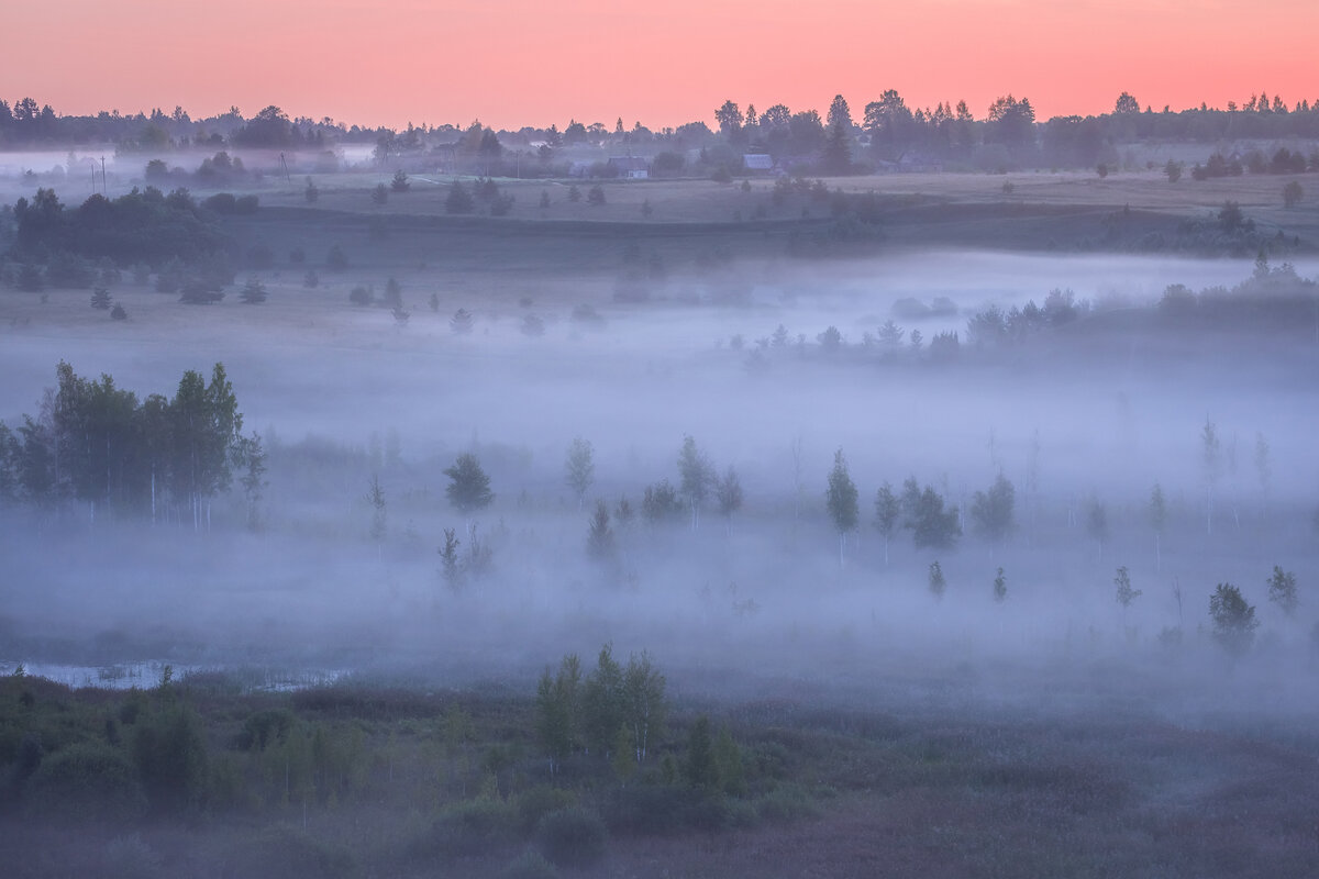 **** - Елизавета .