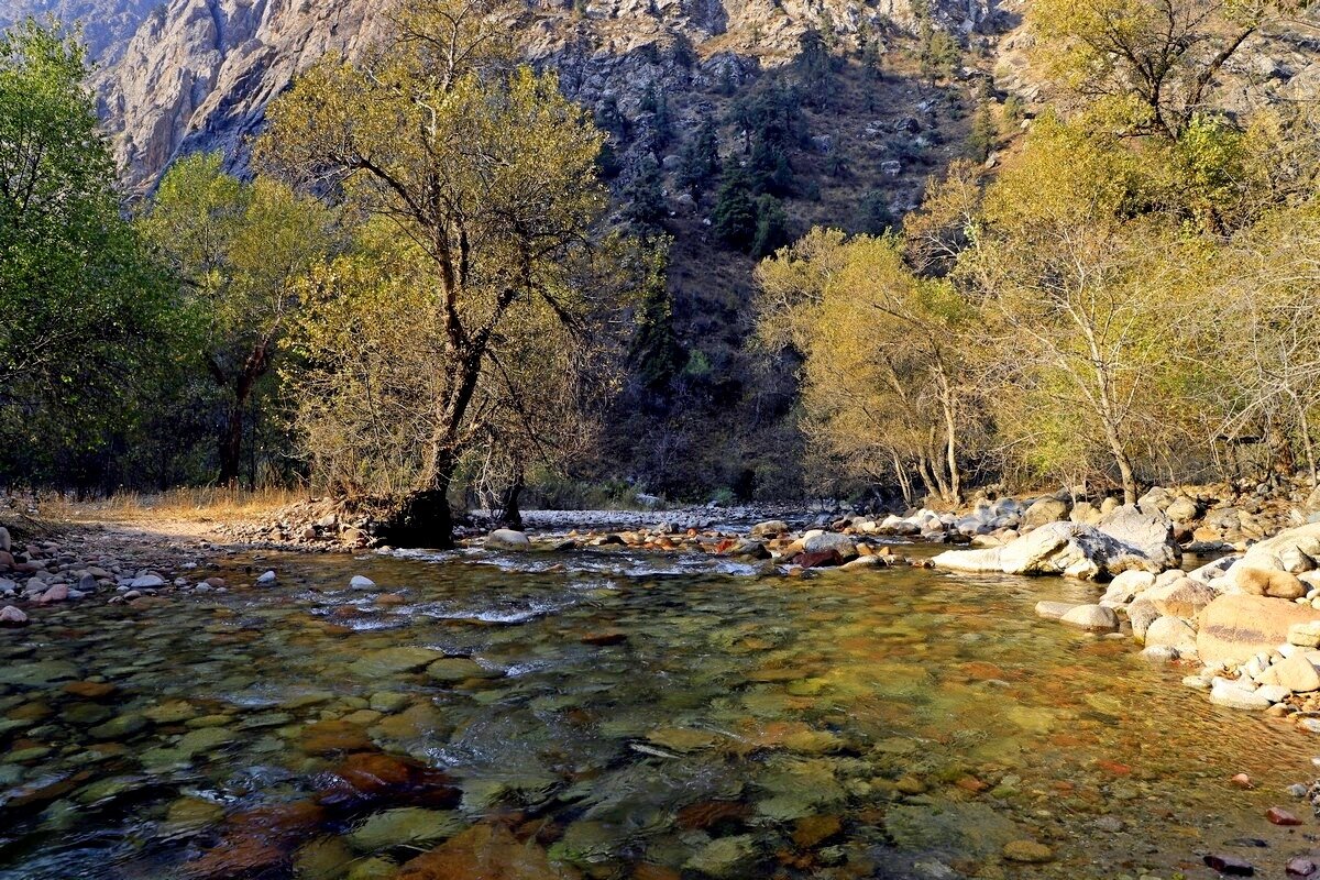 ПО НИЗАМ. - Виктор Осипчук