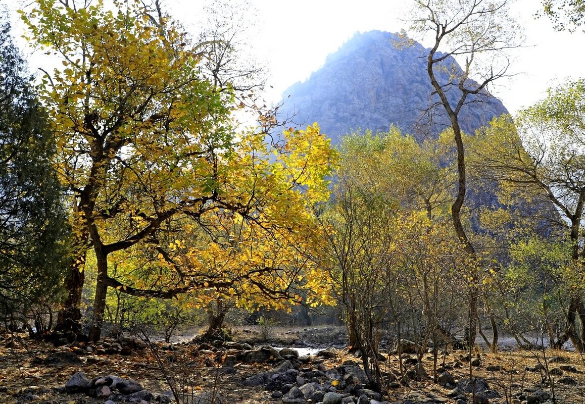 ПО НИЗАМ. - Виктор Осипчук ПО НИЗАМ. - Виктор Осипчук