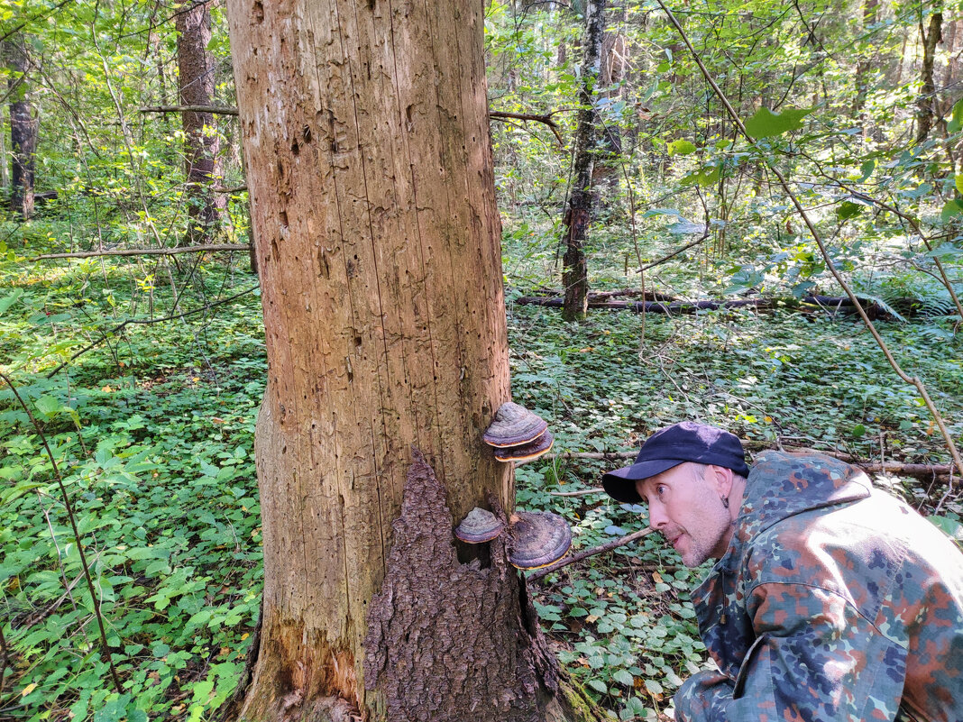 Кто там )) - Денис Бочкарёв