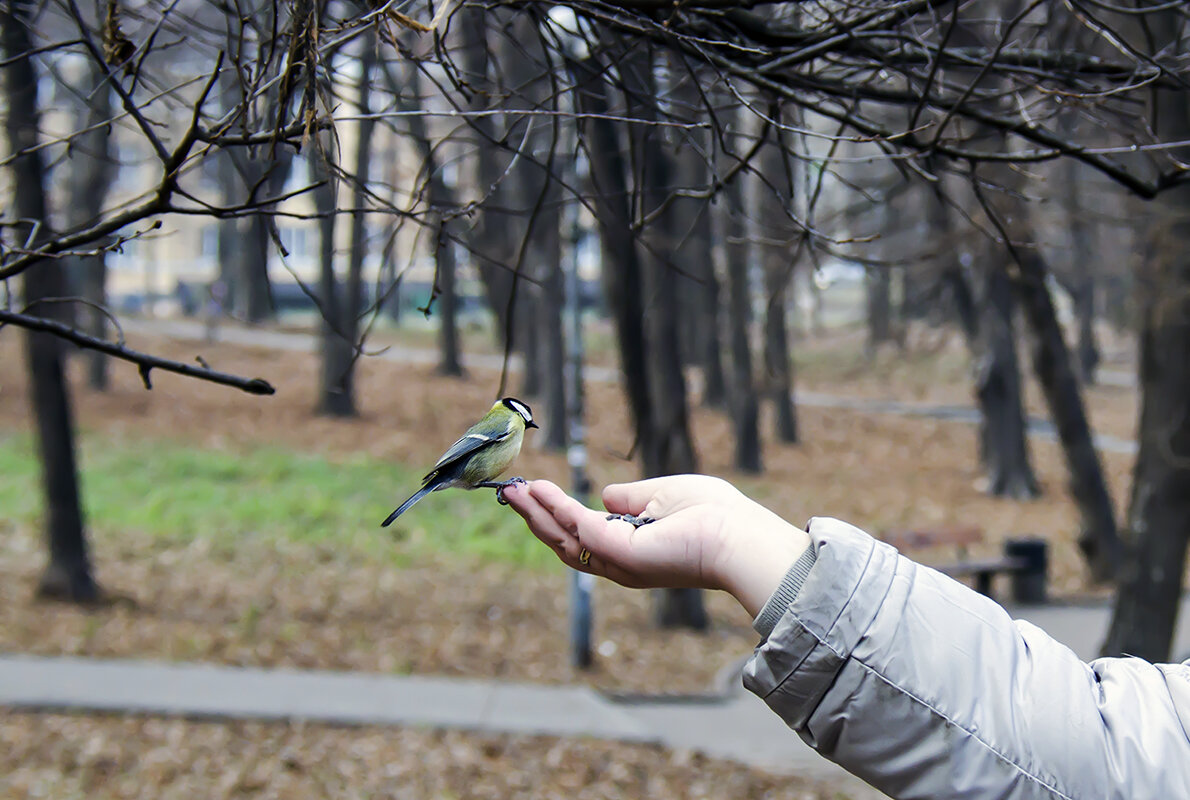 Из-за аппетита страх потеряла - Alexandеr P