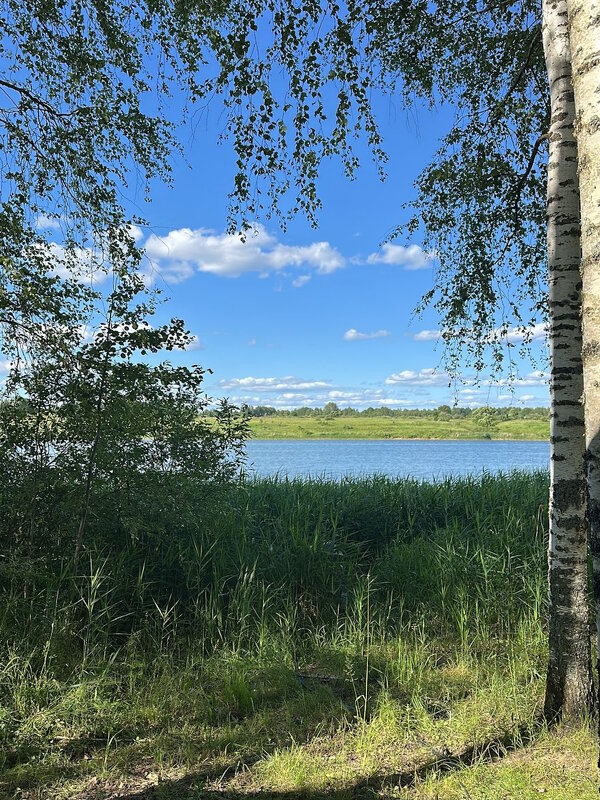 Родные просторы. - Ольга Довженко
