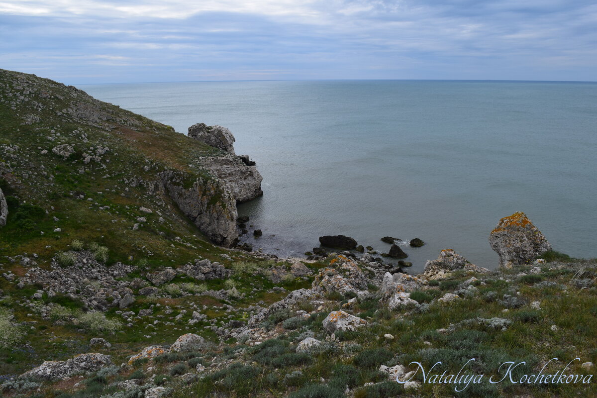 Природа Крыма - Amazing Cosmea