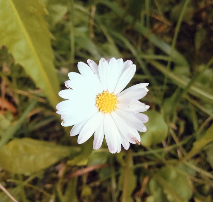 Природа - Виктория Тукмакова