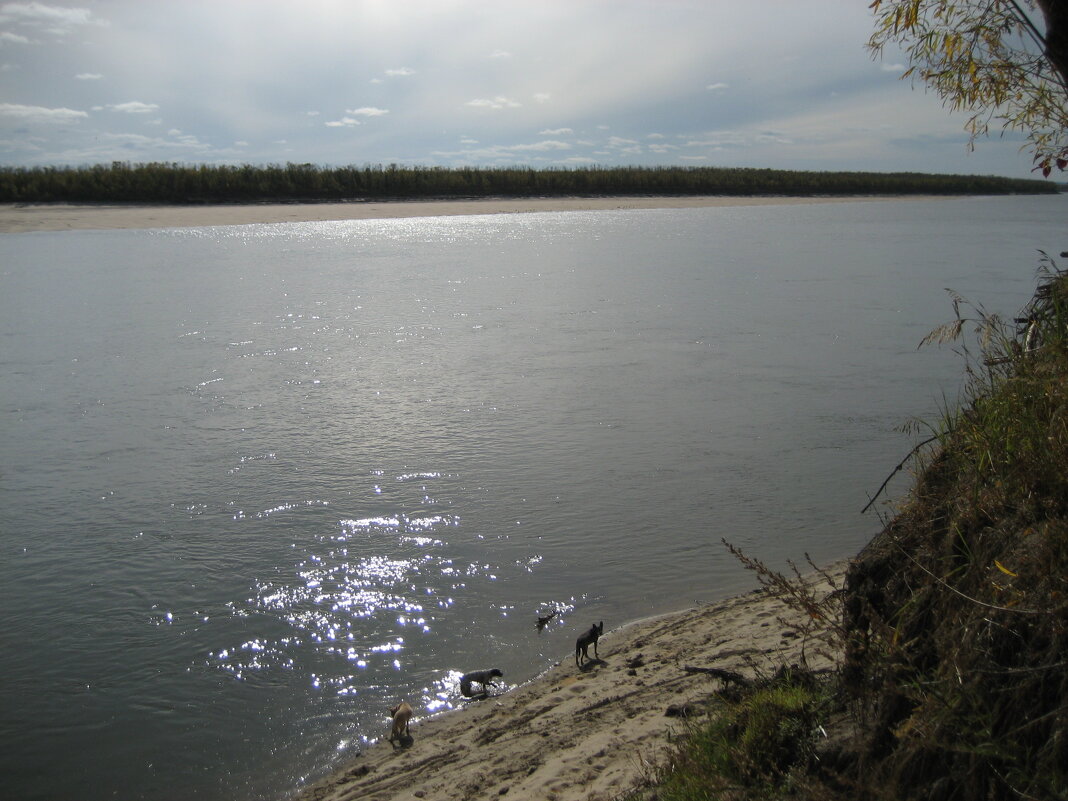 Жаркий день - Anna Ivanova