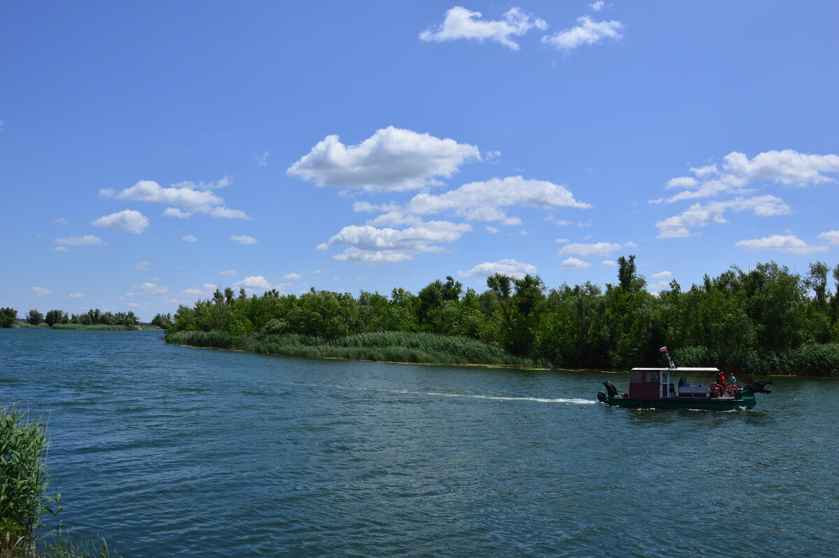 У реки. - Виктор 