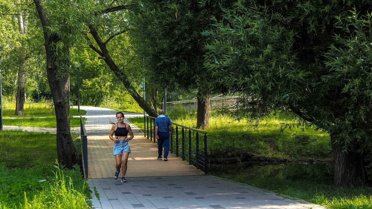 В Летнем Парке - юрий поляков