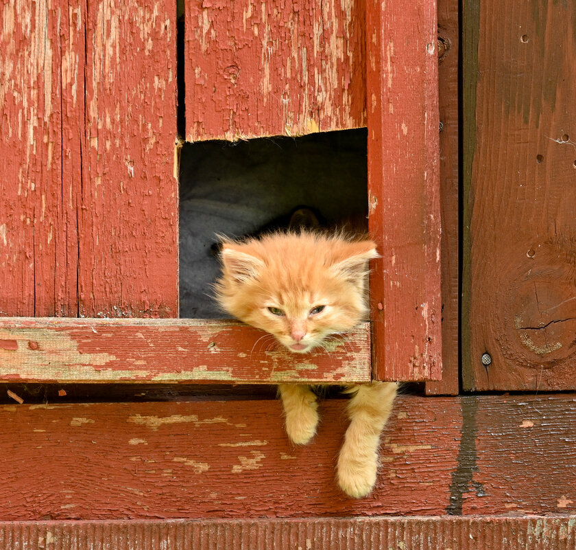 * - Вадим * - Вадим