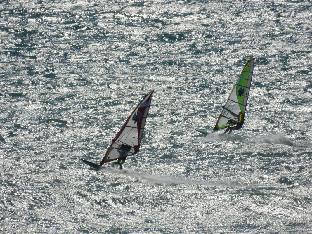 Ветренная погода - daimos 