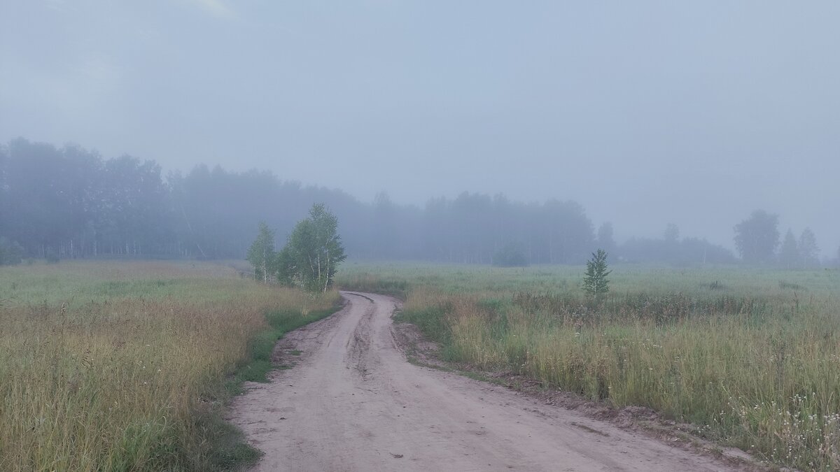 *** - Владимир 