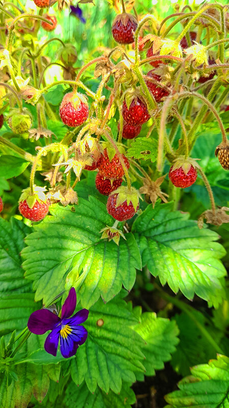 ... - Наталья 