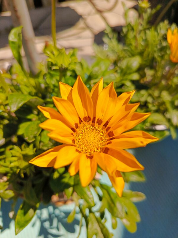 Гацания - Татьяна Пальчикова