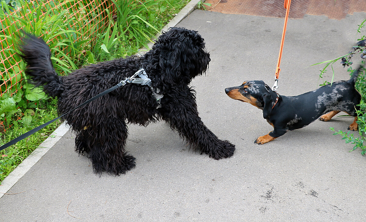 Поиграем? - Светлана 