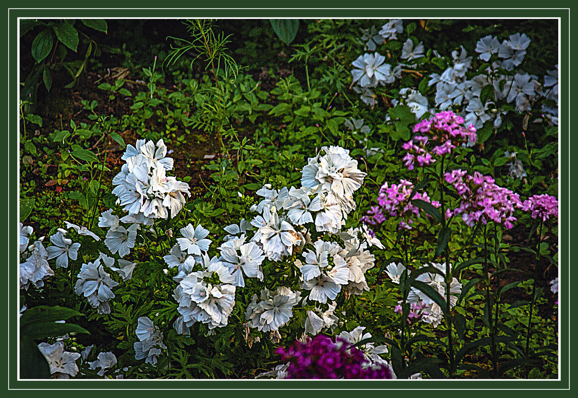 Цветут цветы - Владимир Кроливец