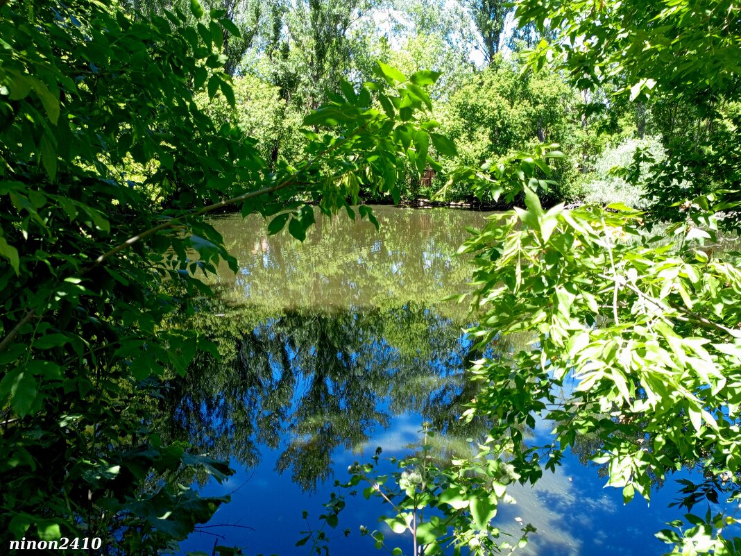 В ростовском зоопарке - Нина Бутко