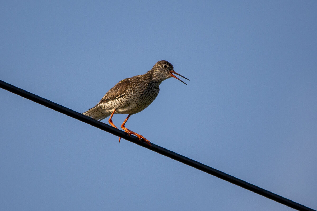 Травник - Barguzin_45 Иваныч