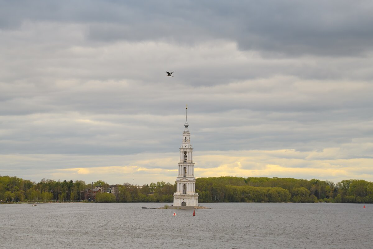 Серая цапля пролетает мимо Калязинской колокольни - Дарья Меркулова