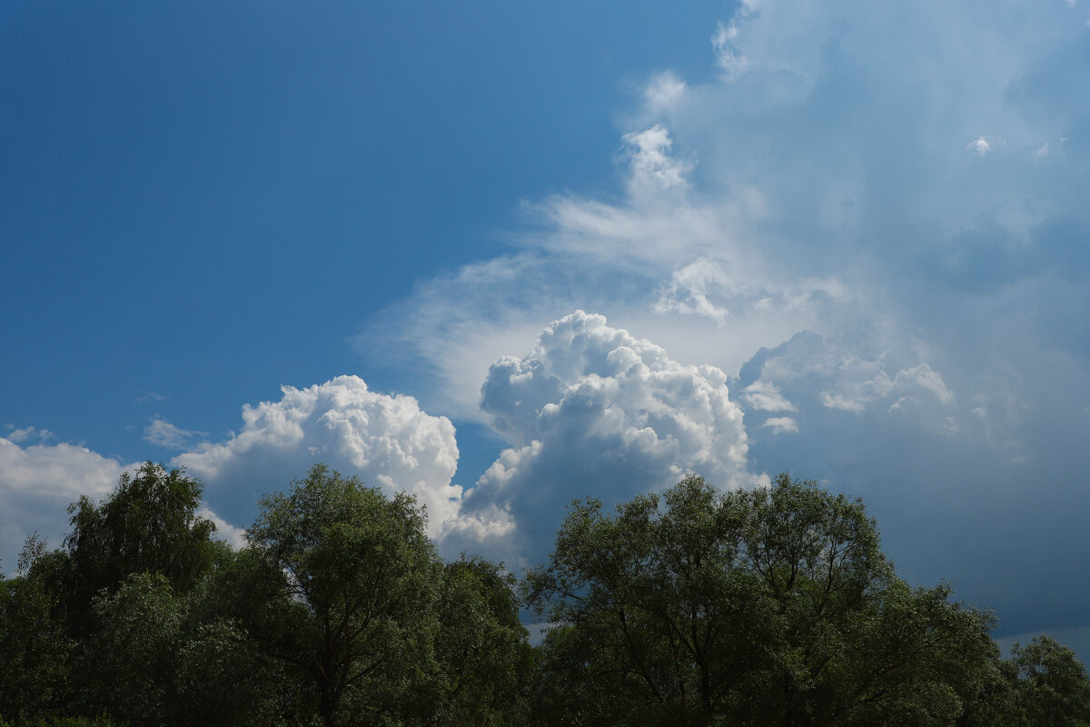 ... - Елена Сиднина