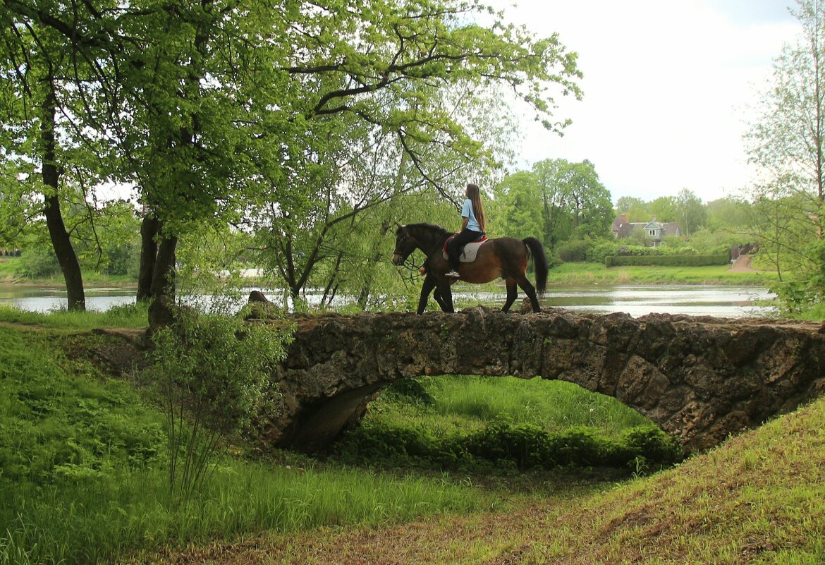 Орловский парк - Наталья Герасимова