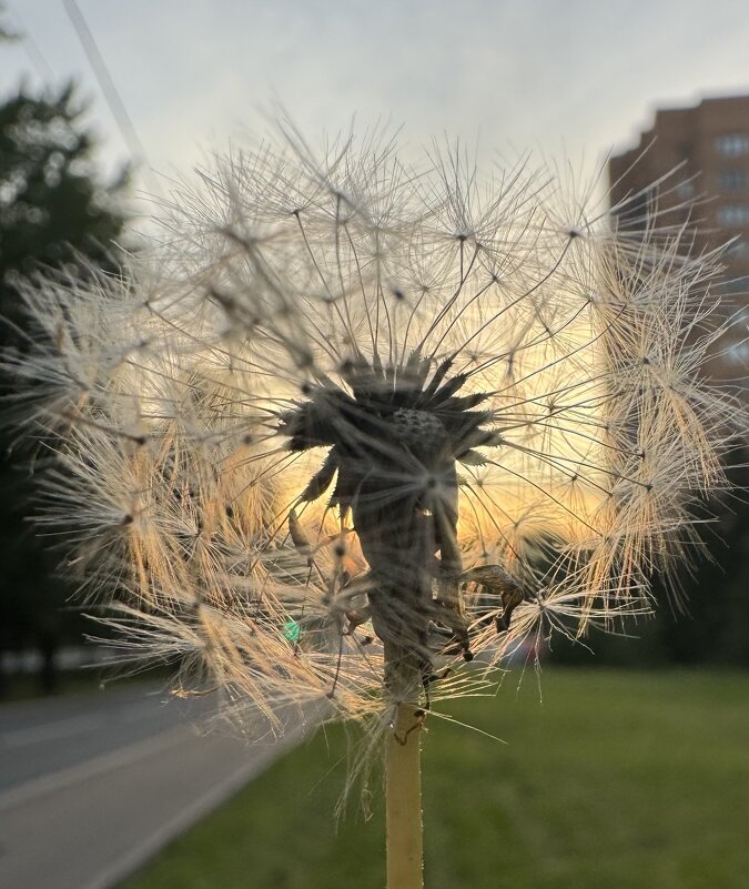 Летний свитер )) - Анна Камс