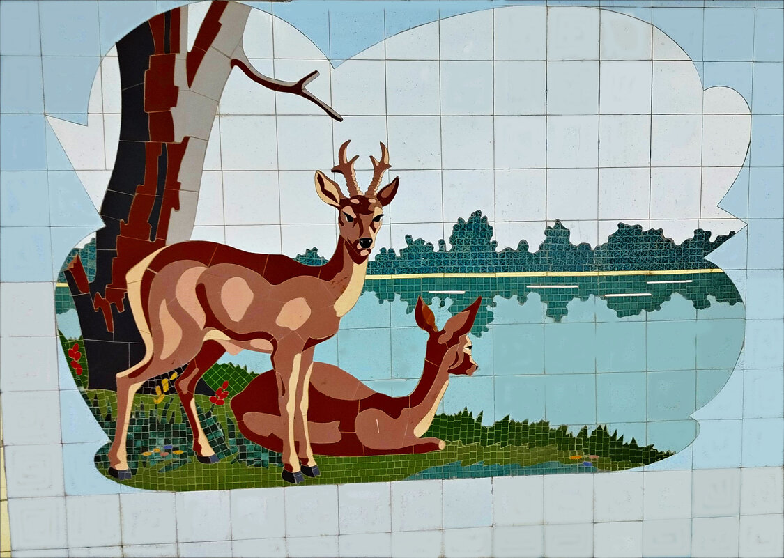 У водоёма! - Надежда 