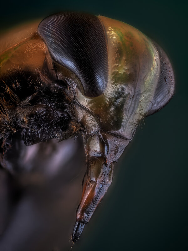 ГЛАДЫШ. - Олег Савицкий