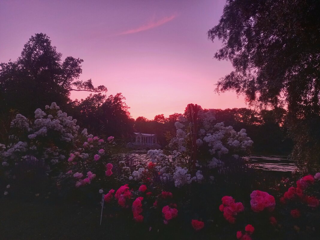 Закат - Сапсан 