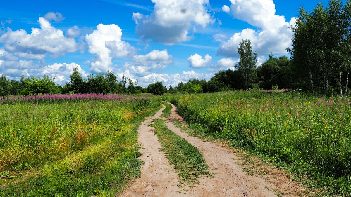 Середина лета (репортаж из поездок по области). - Милешкин Владимир Алексеевич 