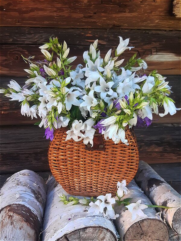 Букет с полевыми колокольчиками! - Нина Андронова Букет с полевыми колокольчиками! - Нина Андронова