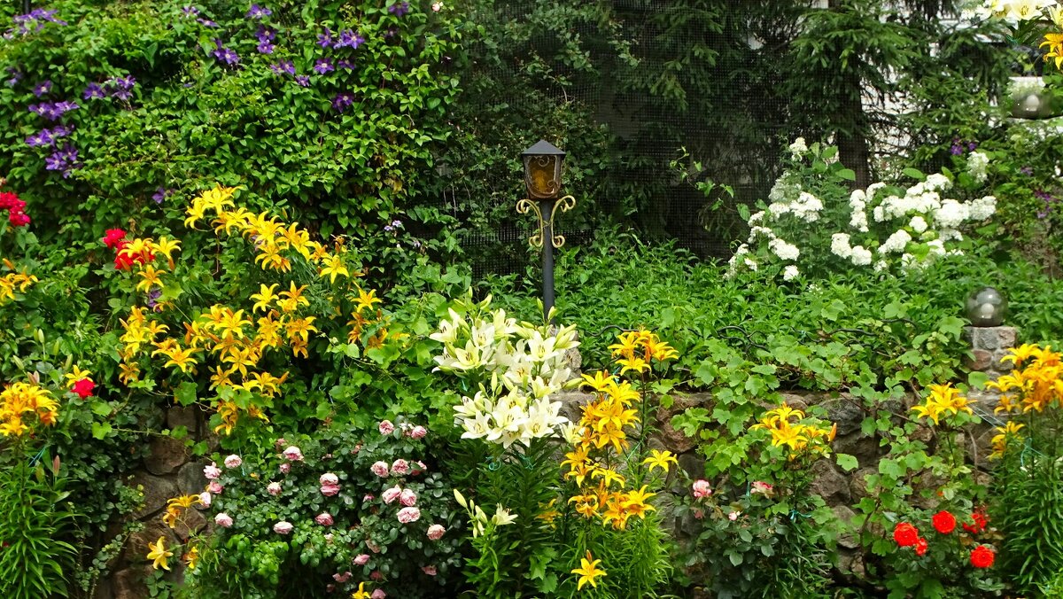 Городские цветы - Милешкин Владимир Алексеевич 