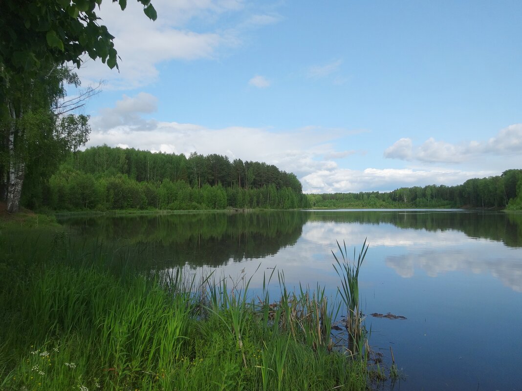 Алёнушкин пруд - Лидия Бусурина Алёнушкин пруд - Лидия Бусурина