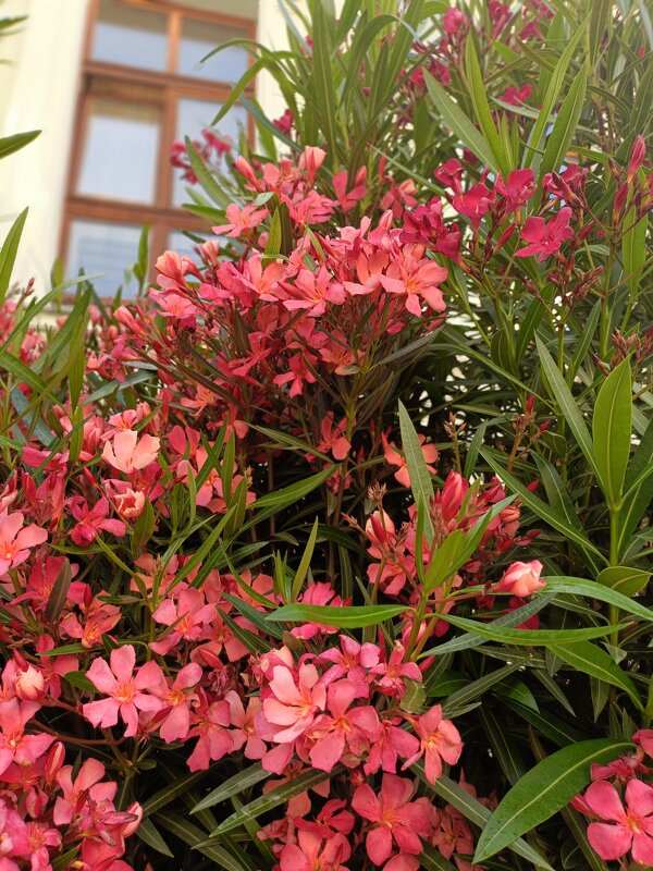 на улицах города - Галина R...