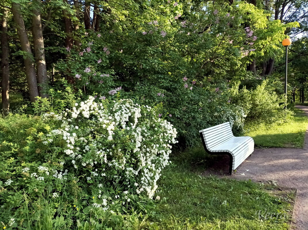 Скамейка - Veera V