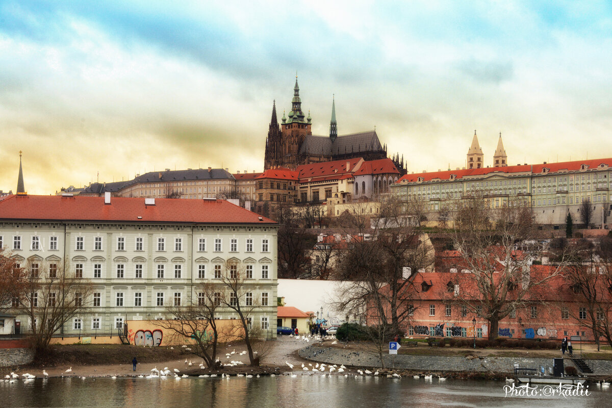 Контрасты мегаполиса. - arkadii 