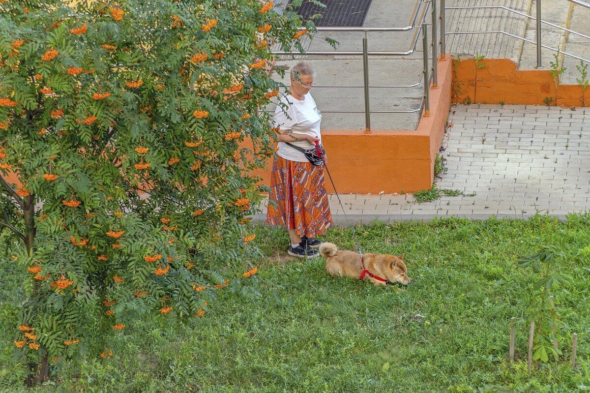 Полежать на травке - Валерий Иванович