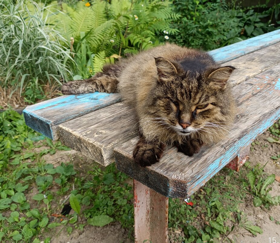 Боец. - Владимир Волик Боец. - Владимир Волик