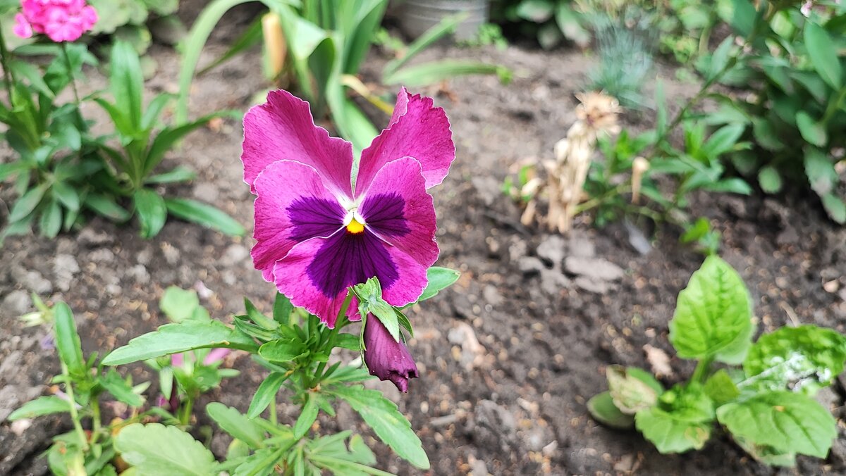 ,,, - Сергей Тимоновский