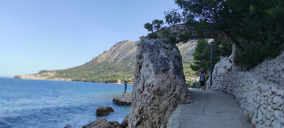 Приморский городок - Светлана Баталий