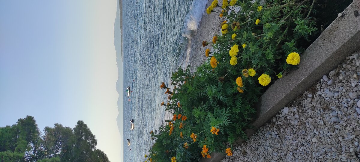 Приморский городок - Светлана Баталий