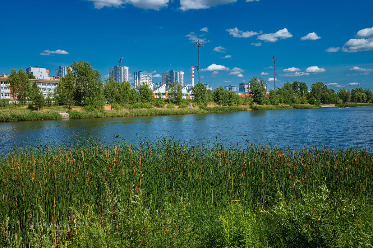 Мещерское озеро - Александр Синдерёв Мещерское озеро - Александр Синдерёв