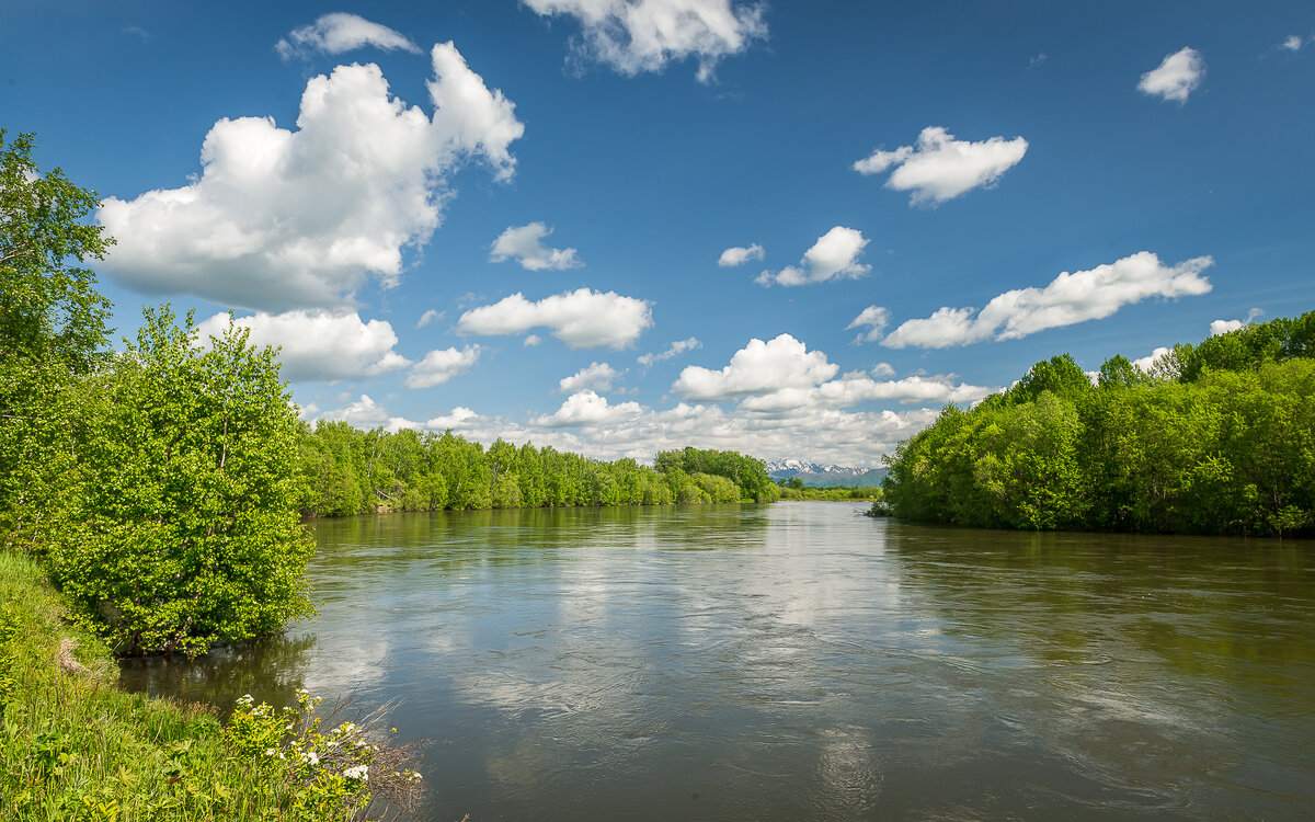 ... - Жора Житников