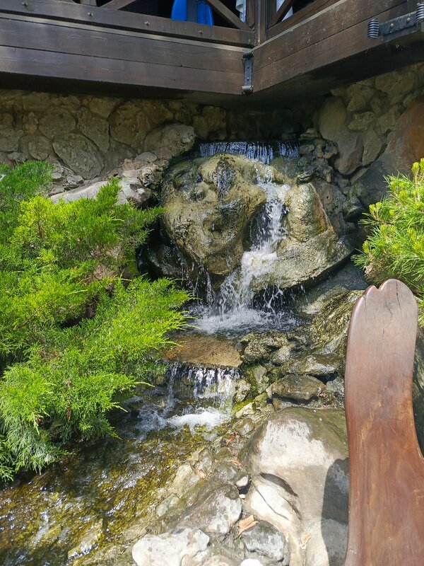 Парк Лога водопад - Татьяна Пальчикова