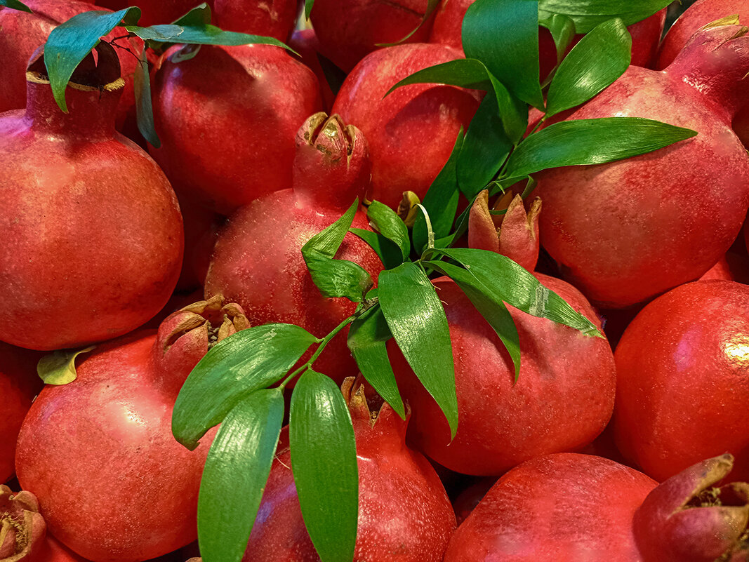 Бекгроунд из гранат. - Лилия * Бекгроунд из гранат. - Лилия *