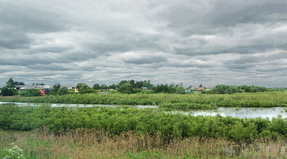 дер. Волотово - Александр Ильчевский 