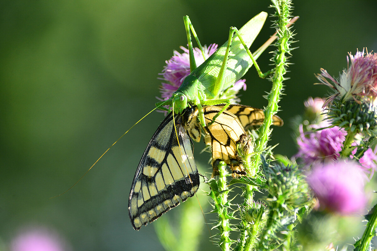 Судьба - Геннадий Супрун