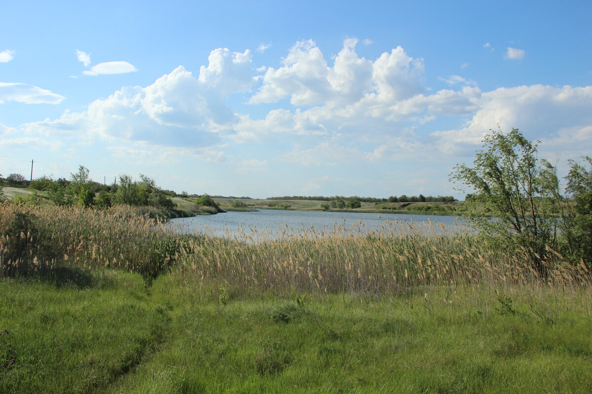 У пруда. - Виктор 