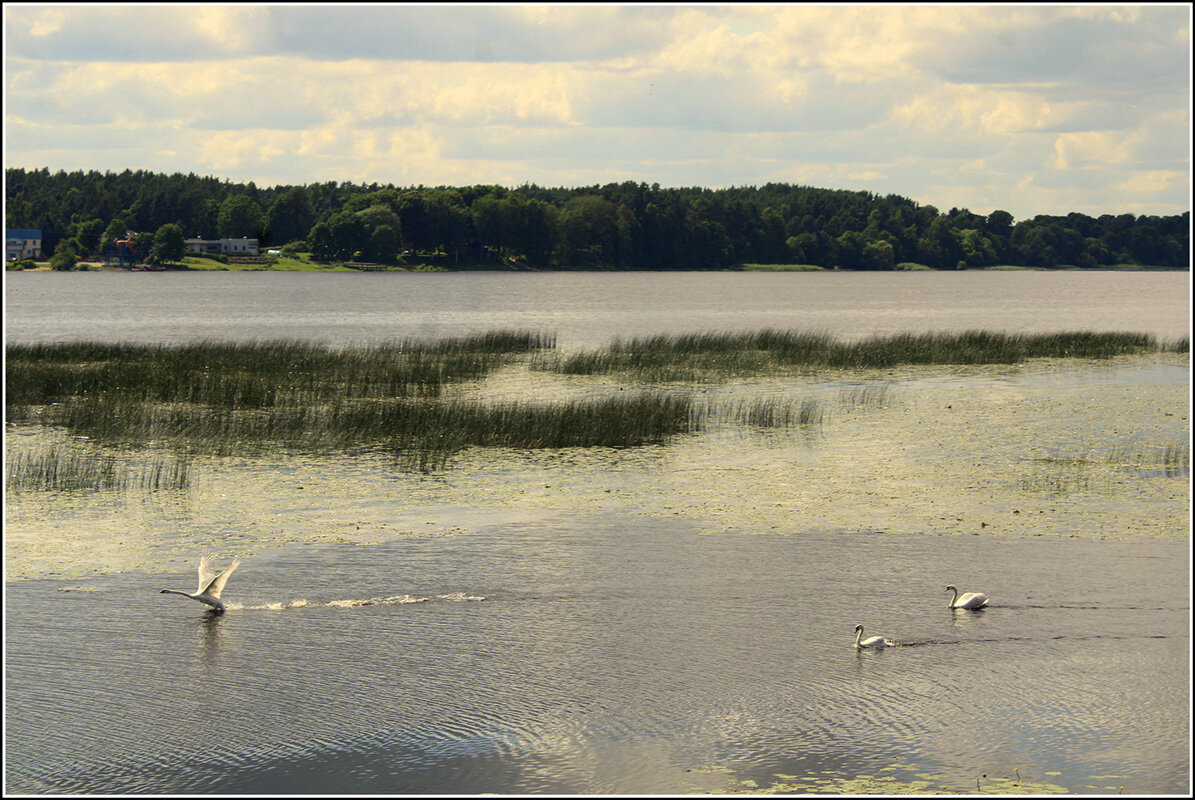 Утро - Aleksandr Gal