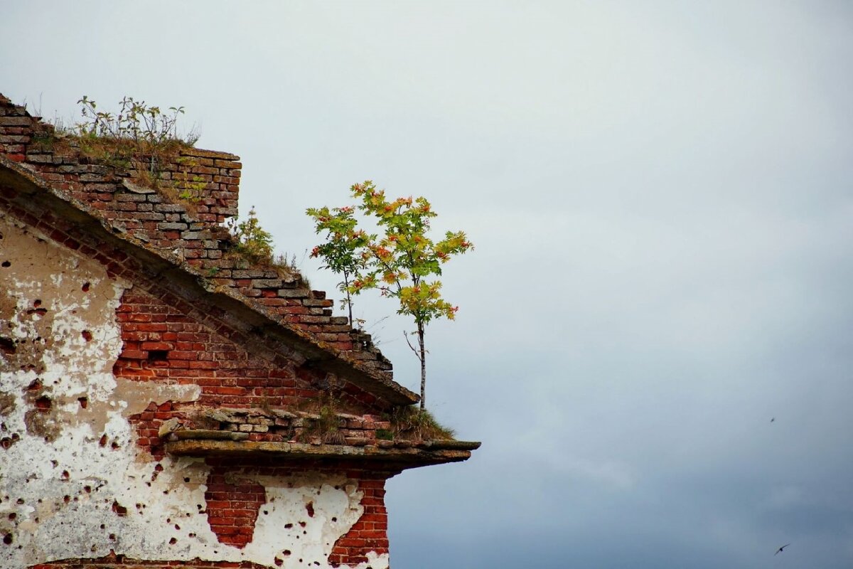 Тяга к жизни - Олег Иванов