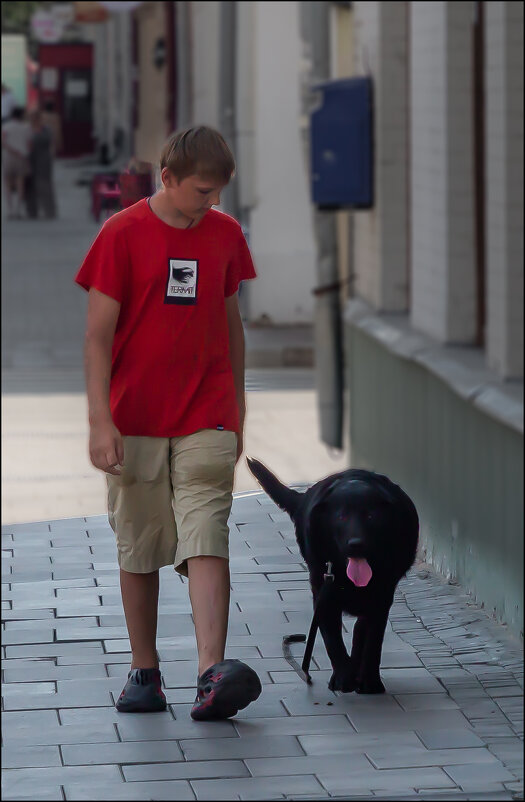 Красное и чёрное - Александр Тарноградский